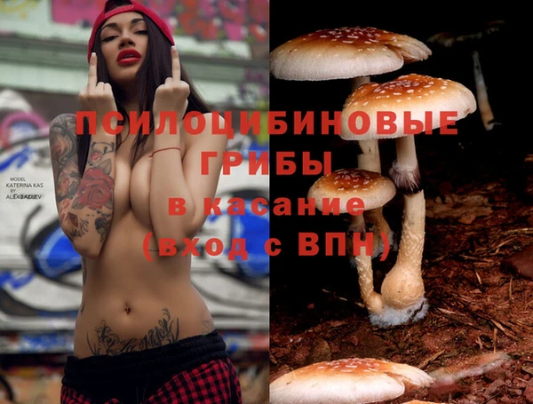 СК Абаза