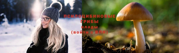 СК Абаза
