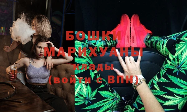 ГАЛЛЮЦИНОГЕННЫЕ ГРИБЫ Осинники