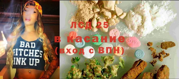 ГАЛЛЮЦИНОГЕННЫЕ ГРИБЫ Осинники