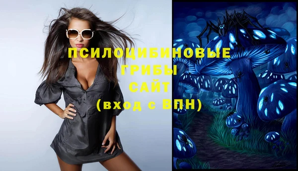 ГАЛЛЮЦИНОГЕННЫЕ ГРИБЫ Осинники
