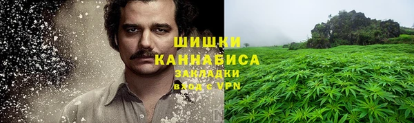 ГАЛЛЮЦИНОГЕННЫЕ ГРИБЫ Осинники