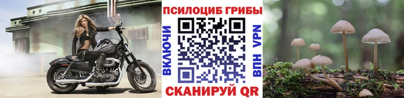 что такое   Гагарин  Галлюциногенные грибы Cubensis 